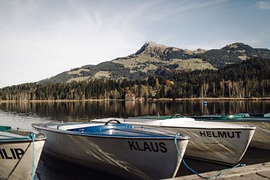 Hiking, swimming or boating in front of Tyrol's fantastic mountain scenery